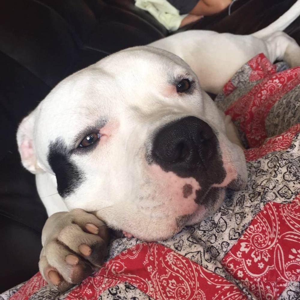 Meet your Posher, Chloe